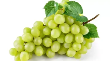 130 جنيهاً لكيلو العنب.. والشعبة تكشف سبب ارتفاعه بالأسواق